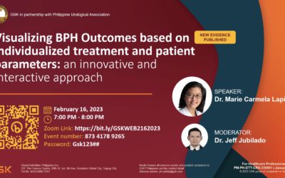 Visualizing BPH Outcomes based on individualized treatment and patient parameters: an innovative and interactive approach